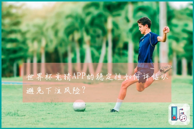 世界杯竞猜APP的稳定性如何评估以避免下注风险？