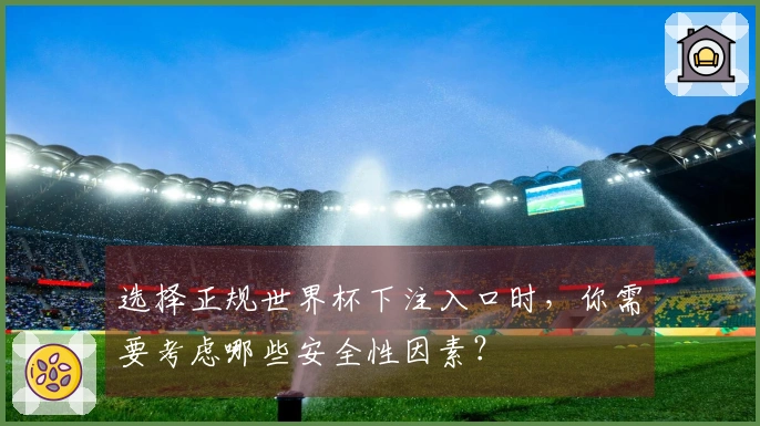 选择正规世界杯下注入口时，你需要考虑哪些安全性因素？