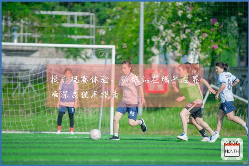 提升观赛体验，买球站在线平台界面深度使用指南