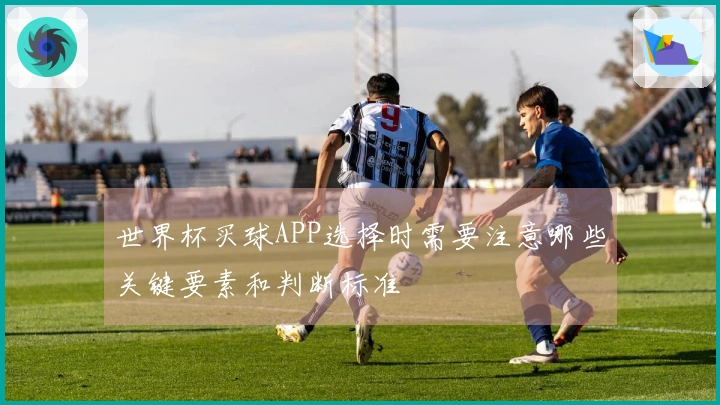 世界杯买球APP选择时需要注意哪些关键要素和判断标准