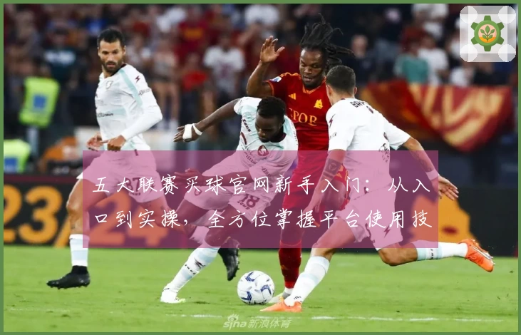 五大联赛买球官网新手入门：从入口到实操，全方位掌握平台使用技巧