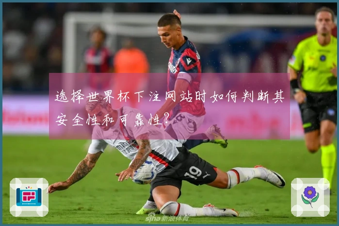 选择世界杯下注网站时如何判断其安全性和可靠性？