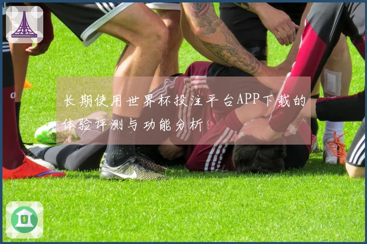 长期使用世界杯投注平台APP下载的体验评测与功能分析