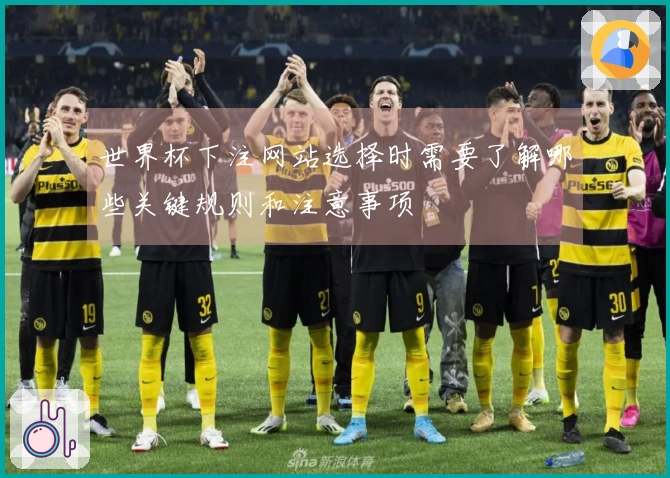 世界杯下注网站选择时需要了解哪些关键规则和注意事项