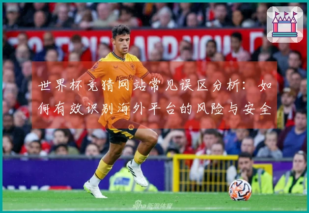 世界杯竞猜网站常见误区分析：如何有效识别海外平台的风险与安全性