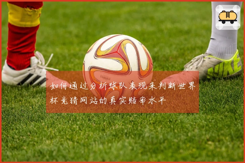 如何通过分析球队表现来判断世界杯竞猜网站的真实赔率水平