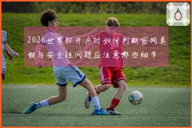 2026世界杯开户时如何判断官网真假与安全性问题应注意哪些细节