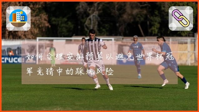 如何合理安排预算以避免世界杯冠军竞猜中的踩坑风险
