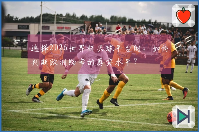 选择2026世界杯买球平台时，如何判断欧洲赔率的真实水平？