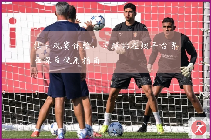 提升观赛体验，买球站在线平台界面深度使用指南