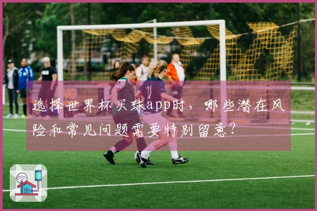 选择世界杯买球app时，哪些潜在风险和常见问题需要特别留意？