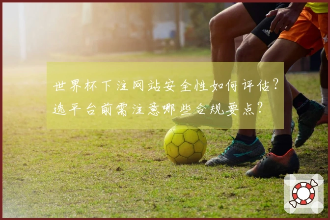 世界杯下注网站安全性如何评估？选平台前需注意哪些合规要点？