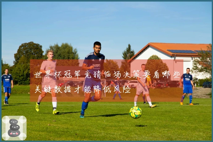 世界杯冠军竞猜临场决策要看哪些关键数据才能降低风险