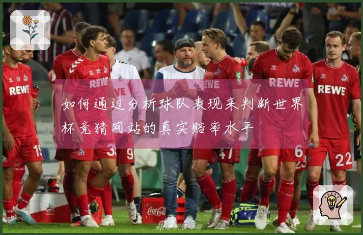 如何通过分析球队表现来判断世界杯竞猜网站的真实赔率水平