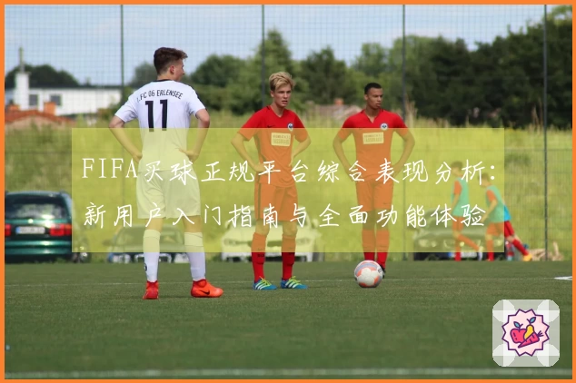 FIFA买球正规平台综合表现分析：新用户入门指南与全面功能体验