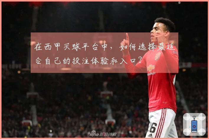 在西甲买球平台中，如何选择最适合自己的投注体验和入口？